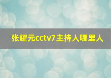 张耀元cctv7主持人哪里人