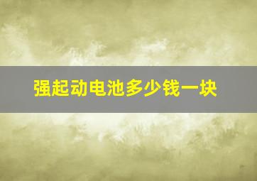 强起动电池多少钱一块