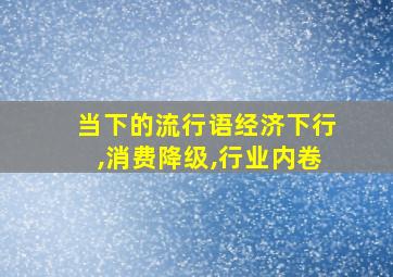 当下的流行语经济下行,消费降级,行业内卷