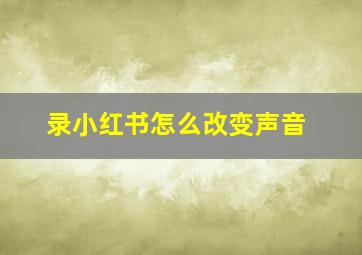 录小红书怎么改变声音