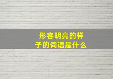 形容明亮的样子的词语是什么