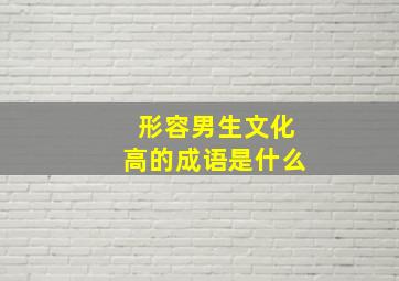 形容男生文化高的成语是什么