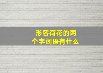 形容荷花的两个字词语有什么