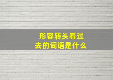 形容转头看过去的词语是什么