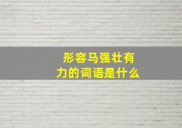 形容马强壮有力的词语是什么