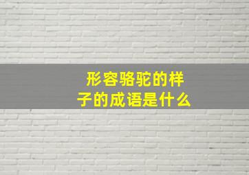 形容骆驼的样子的成语是什么