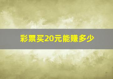 彩票买20元能赚多少