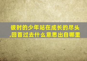 彼时的少年站在成长的尽头,回首过去什么意思出自哪里