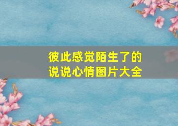 彼此感觉陌生了的说说心情图片大全