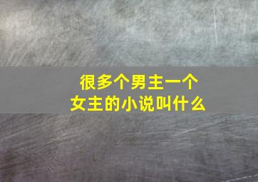 很多个男主一个女主的小说叫什么