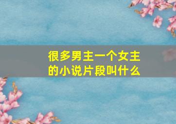 很多男主一个女主的小说片段叫什么