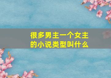 很多男主一个女主的小说类型叫什么