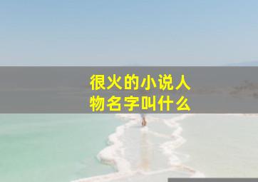 很火的小说人物名字叫什么