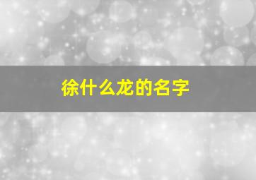 徐什么龙的名字