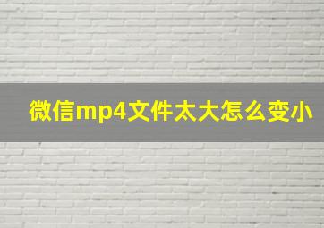 微信mp4文件太大怎么变小