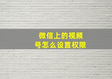 微信上的视频号怎么设置权限