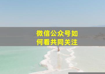 微信公众号如何看共同关注