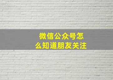 微信公众号怎么知道朋友关注