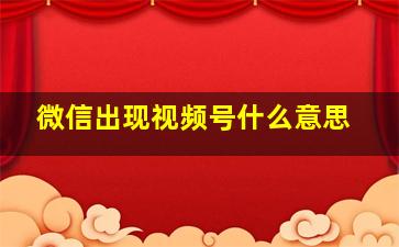 微信出现视频号什么意思