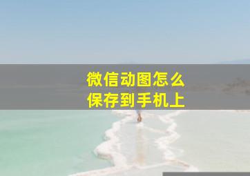 微信动图怎么保存到手机上