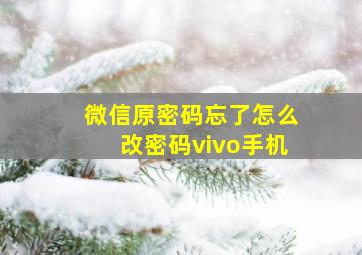 微信原密码忘了怎么改密码vivo手机