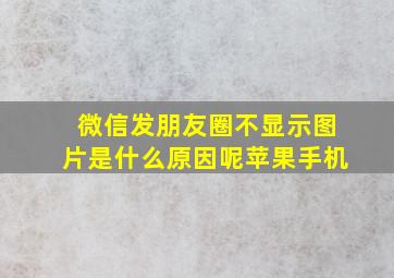 微信发朋友圈不显示图片是什么原因呢苹果手机