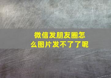 微信发朋友圈怎么图片发不了了呢