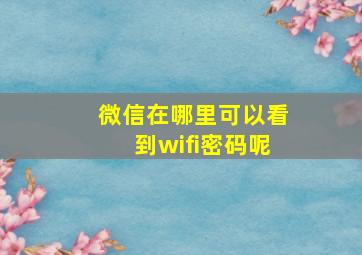 微信在哪里可以看到wifi密码呢