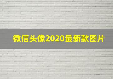 微信头像2020最新款图片