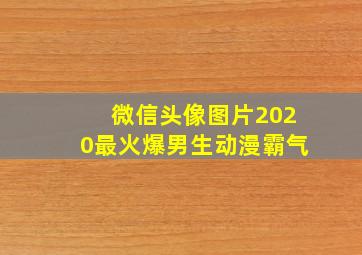 微信头像图片2020最火爆男生动漫霸气