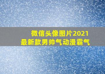 微信头像图片2021最新款男帅气动漫霸气