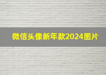 微信头像新年款2024图片