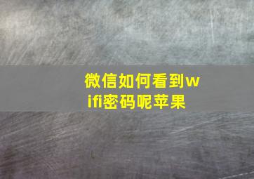 微信如何看到wifi密码呢苹果