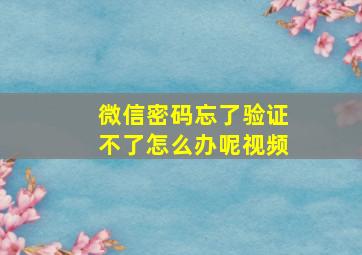 微信密码忘了验证不了怎么办呢视频