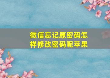 微信忘记原密码怎样修改密码呢苹果