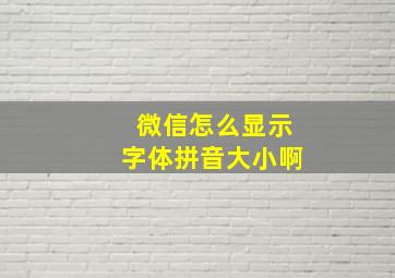 微信怎么显示字体拼音大小啊