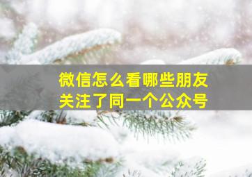 微信怎么看哪些朋友关注了同一个公众号