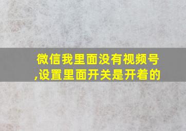 微信我里面没有视频号,设置里面开关是开着的