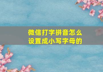 微信打字拼音怎么设置成小写字母的