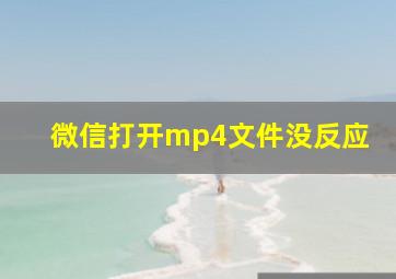 微信打开mp4文件没反应