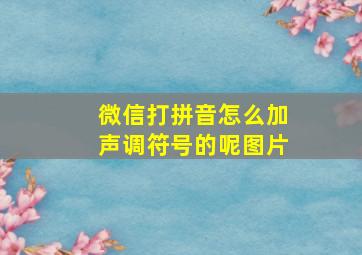 微信打拼音怎么加声调符号的呢图片