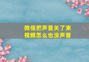 微信把声音关了来视频怎么也没声音