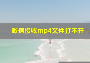 微信接收mp4文件打不开