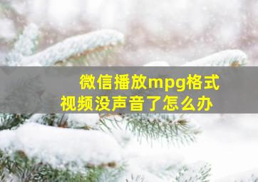 微信播放mpg格式视频没声音了怎么办