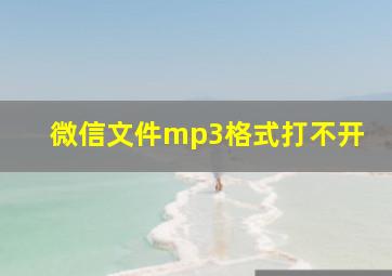 微信文件mp3格式打不开