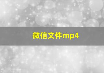 微信文件mp4