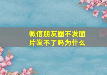 微信朋友圈不发图片发不了吗为什么