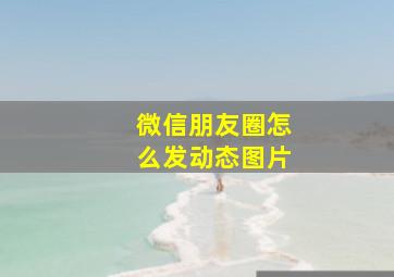 微信朋友圈怎么发动态图片