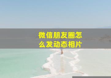 微信朋友圈怎么发动态相片