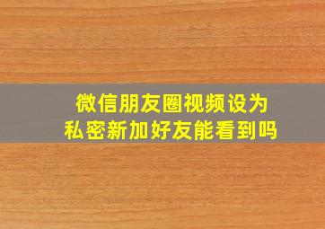 微信朋友圈视频设为私密新加好友能看到吗